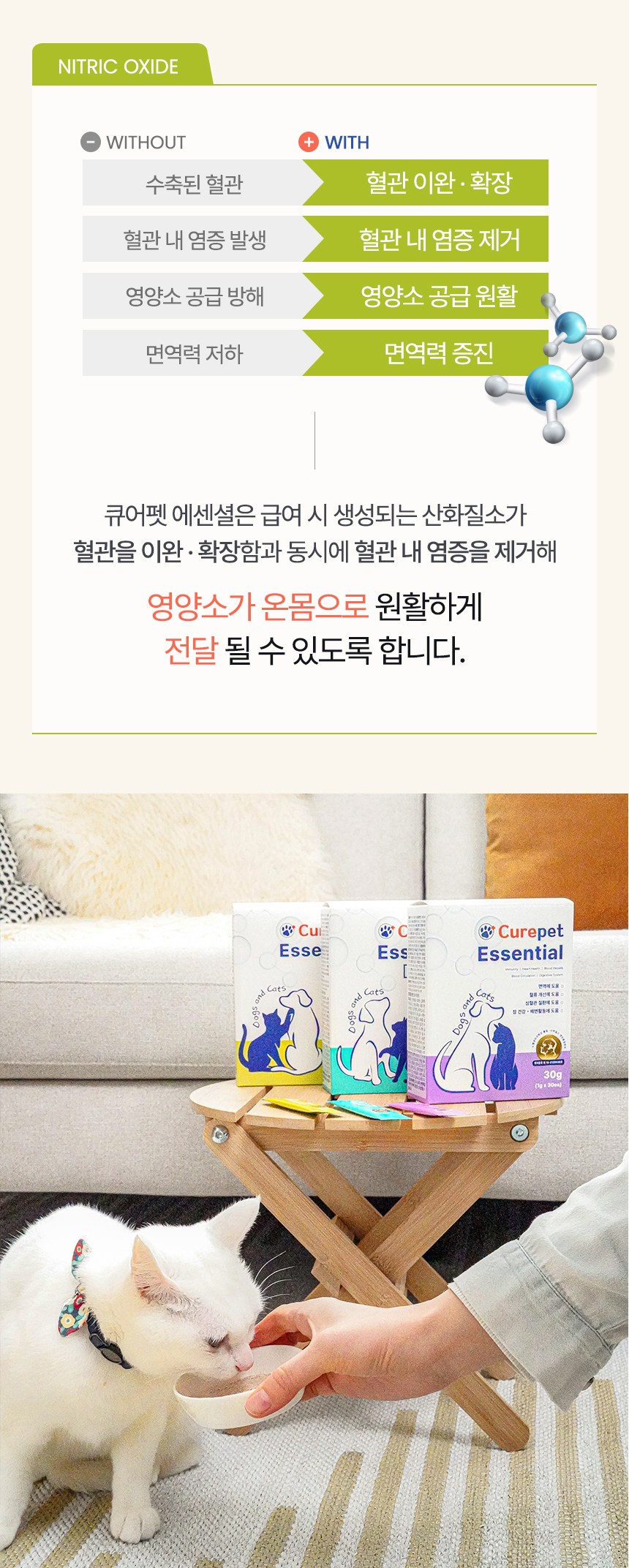 [NEW신상][무료배송] 큐어펫 관절&슬개골 영양제 30g 19번째