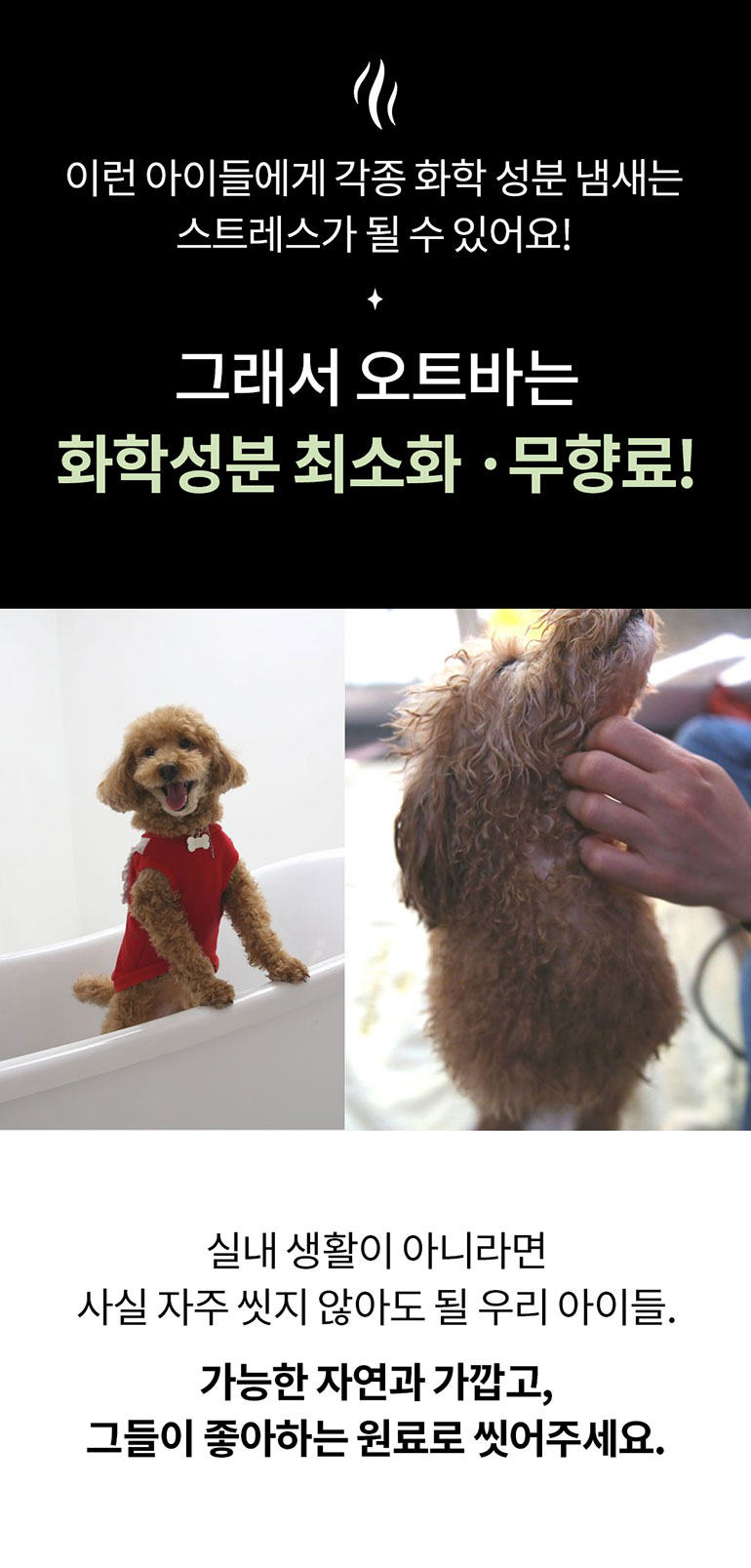 [무료배송] 머디 오트 바 200g 17번째