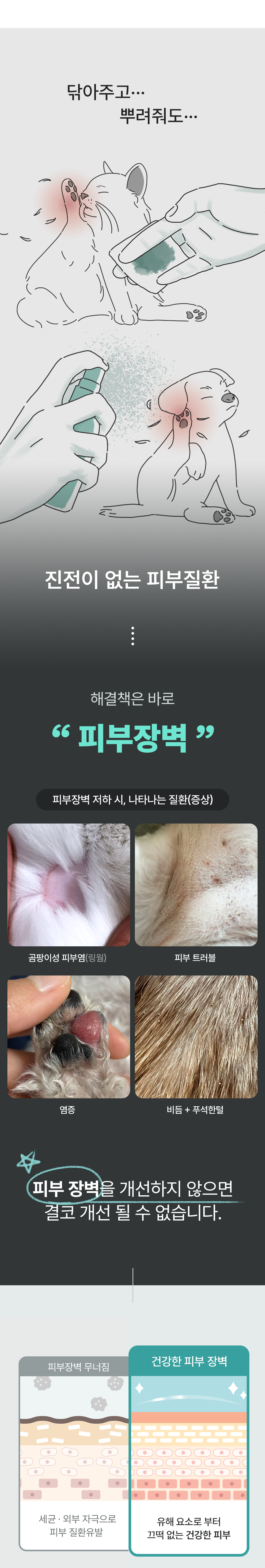 리브펫 스킨앤코트 2.0 60g 4번째