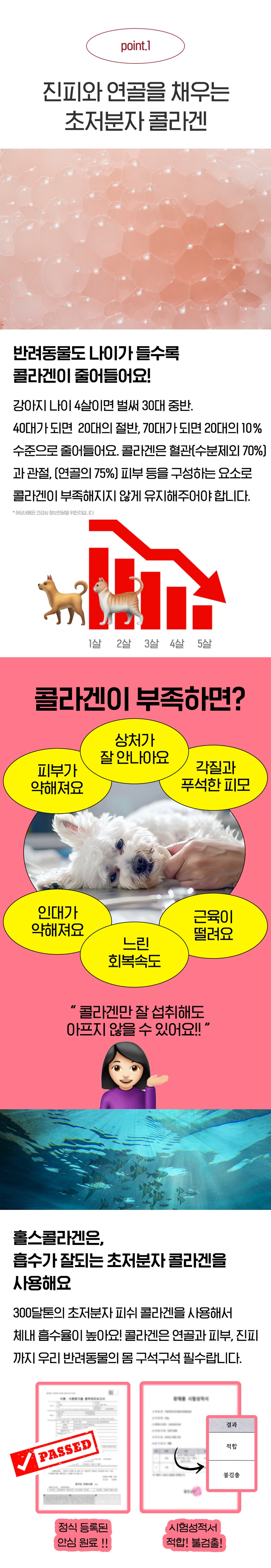 [무료배송] 알로키친 홀스콜라겐 제주말고기&콜라겐 4g*16p 3번째