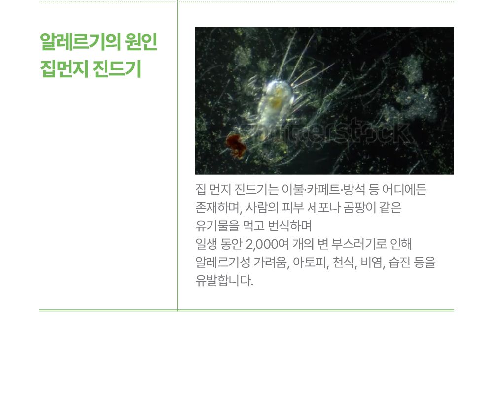 [무료배송] 깃든 반려동물과 함께 쓰는 알러지케어 나란히 차렵이불 + 베개커버 세트 SS/Q 7번째