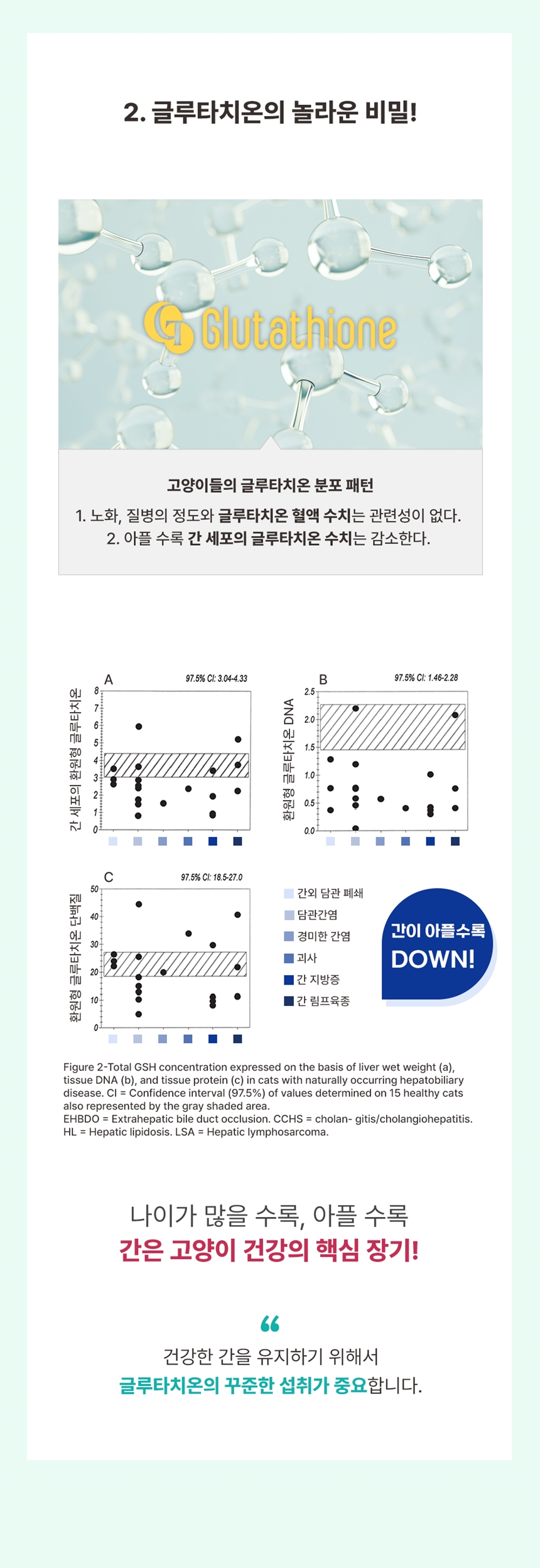 [무료배송] 브랜바인 캣 종합 피부 영양제 54g 7번째