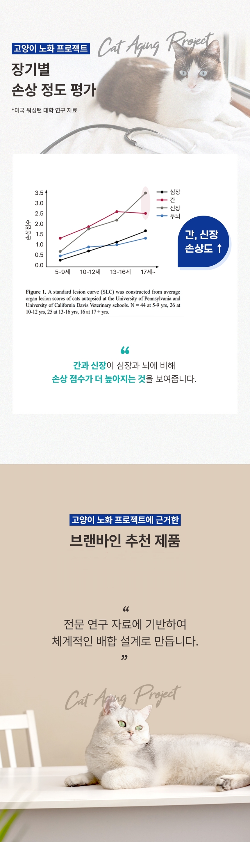 [무료배송] 브랜바인 캣 종합 피부 영양제 54g 4번째