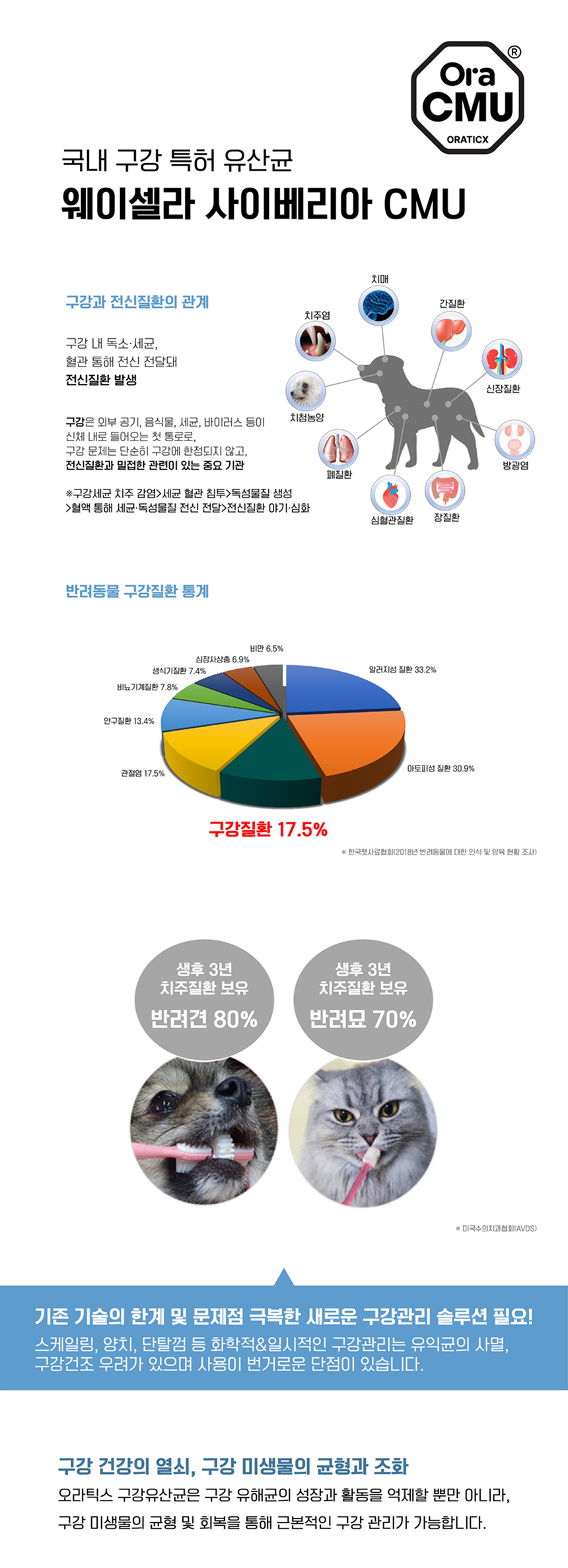[NEW신상][무료배송] 멍멍이대학 영양제 구강건강 2g*30포 8번째