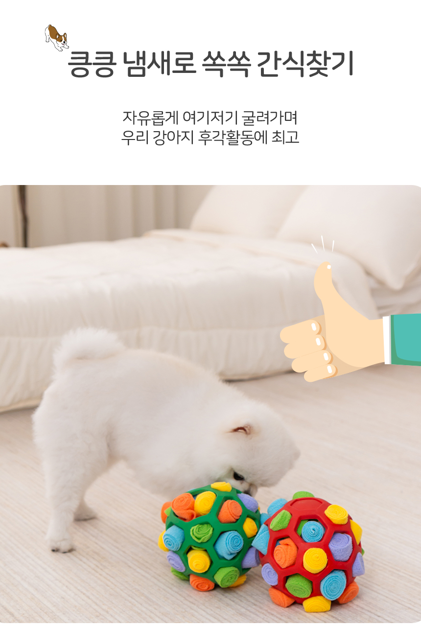 [무료배송] 레토 강아지 축구공 노즈워크 장난감 LPT-NW01 10번째
