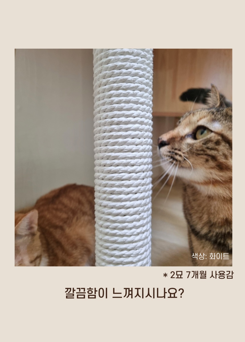 [무료배송] 캣츠크라프트 스크래쳐용 종이로프 20m, 50m 10번째