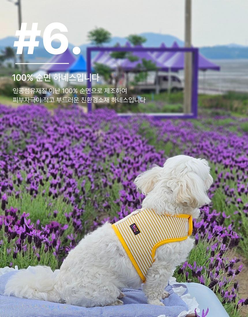 [NEW신상][무료배송] 스윗테일 핸드메이드 스트라이프 하네스 S 18번째