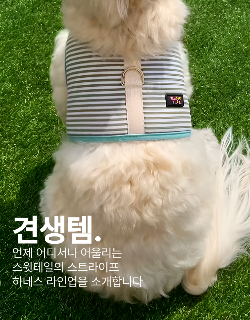 [NEW신상][무료배송] 스윗테일 핸드메이드 스트라이프 하네스 S 27번째