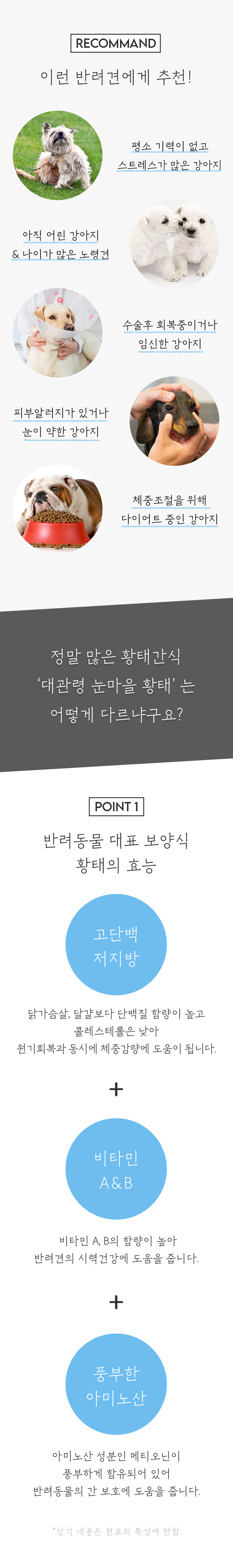 [NEW신상][무료배송] 뉴알엑스 대관령 눈마을 황태 가루 45g 2번째