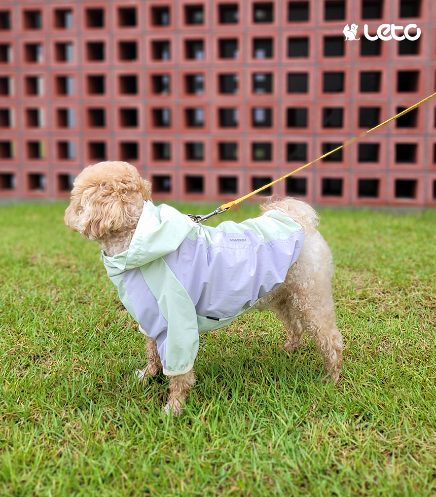 [무료배송] 레토 강아지 바람막이 우비 18번째