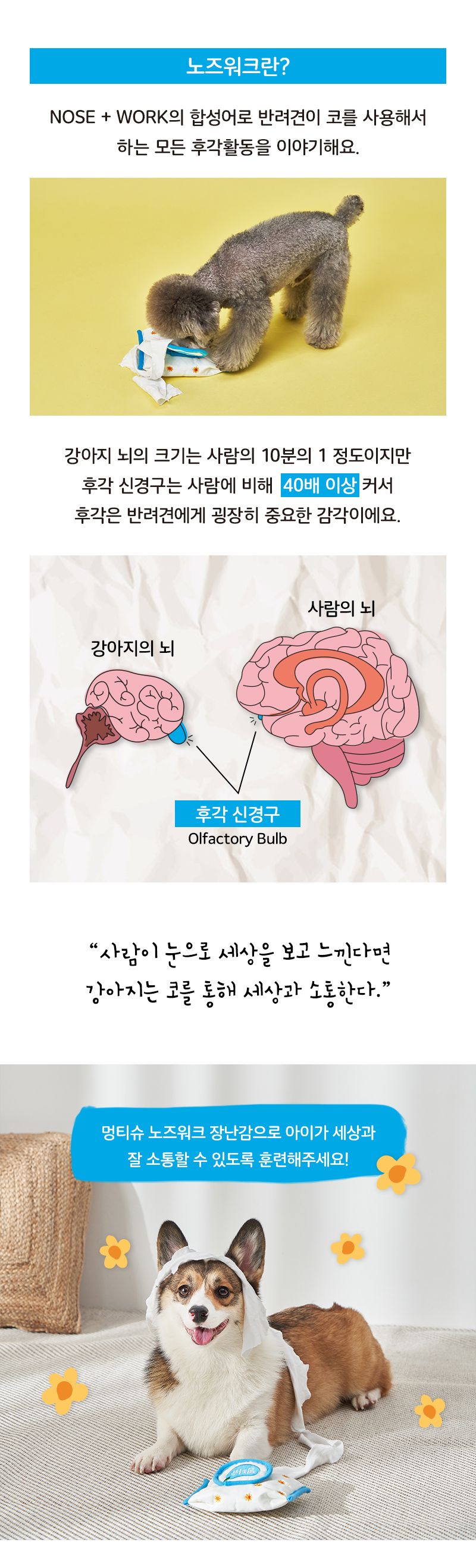 냥품멍품 멍티슈 노즈워크 장난감  4번째