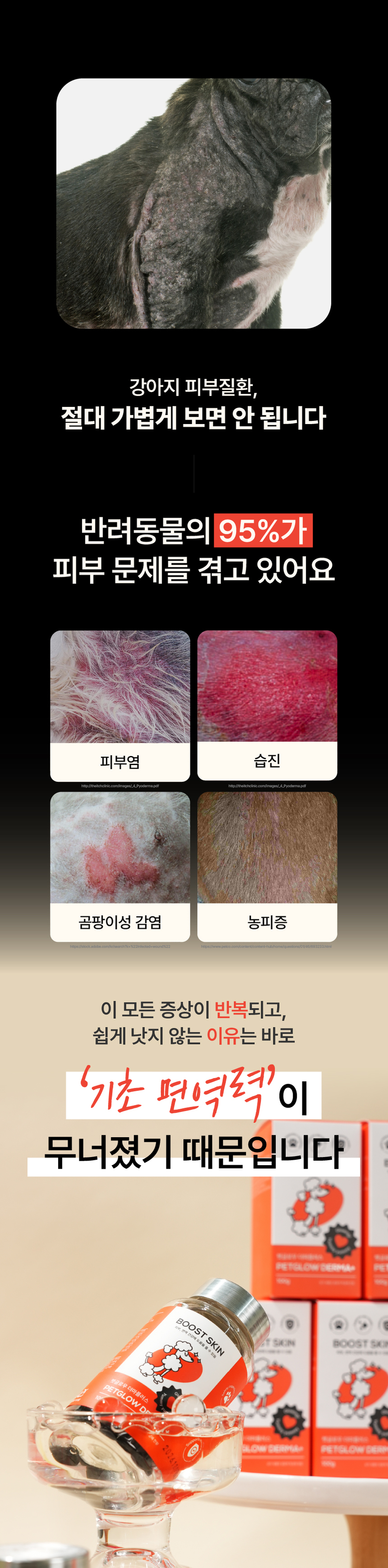 [NEW신상][무료배송] 펫글로우 독 더마플러스 피부 면역 영양제 100g 8번째