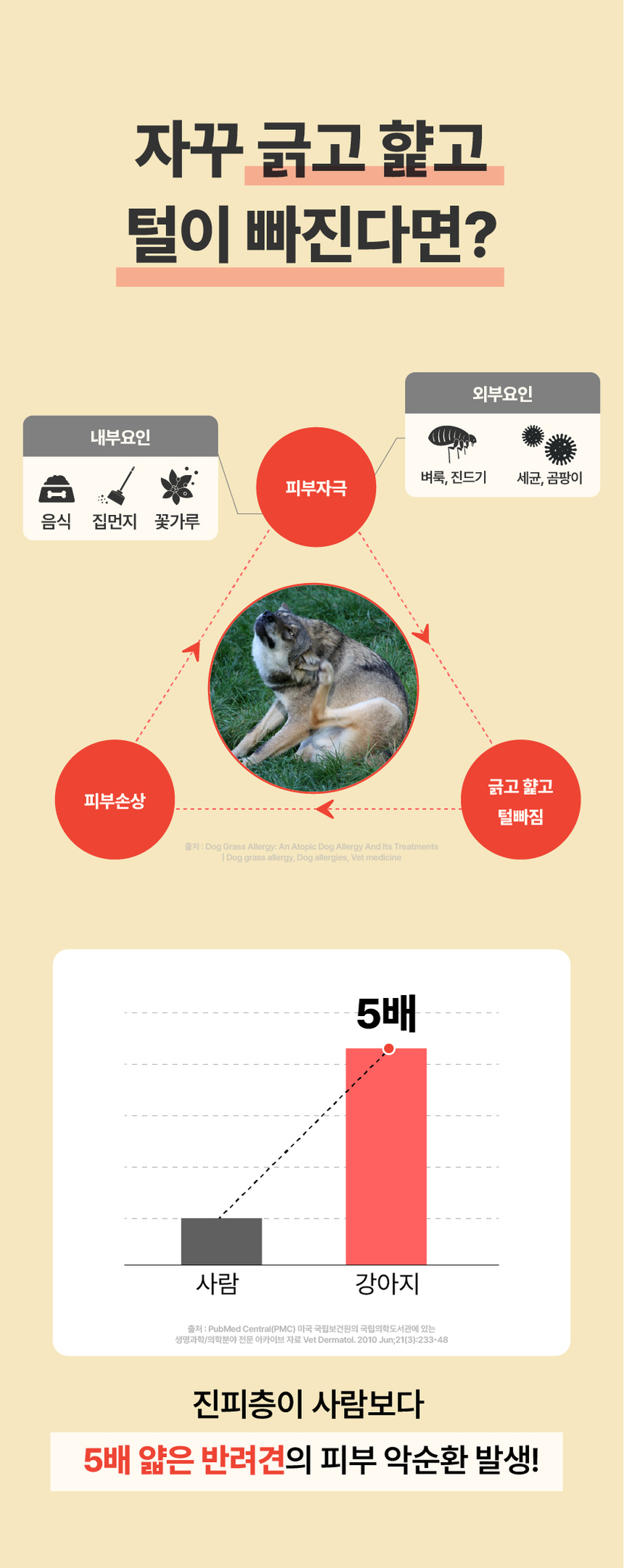 [NEW신상][무료배송] 펫글로우 독 더마플러스 피부 면역 영양제 100g 9번째