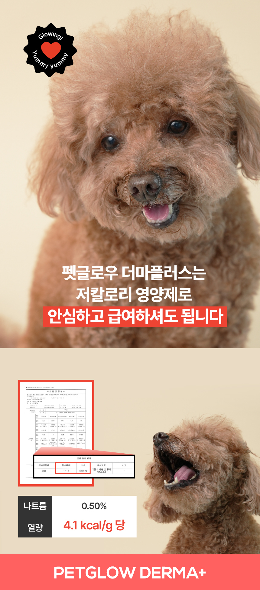 [NEW신상][무료배송] 펫글로우 독 더마플러스 피부 면역 영양제 100g 29번째