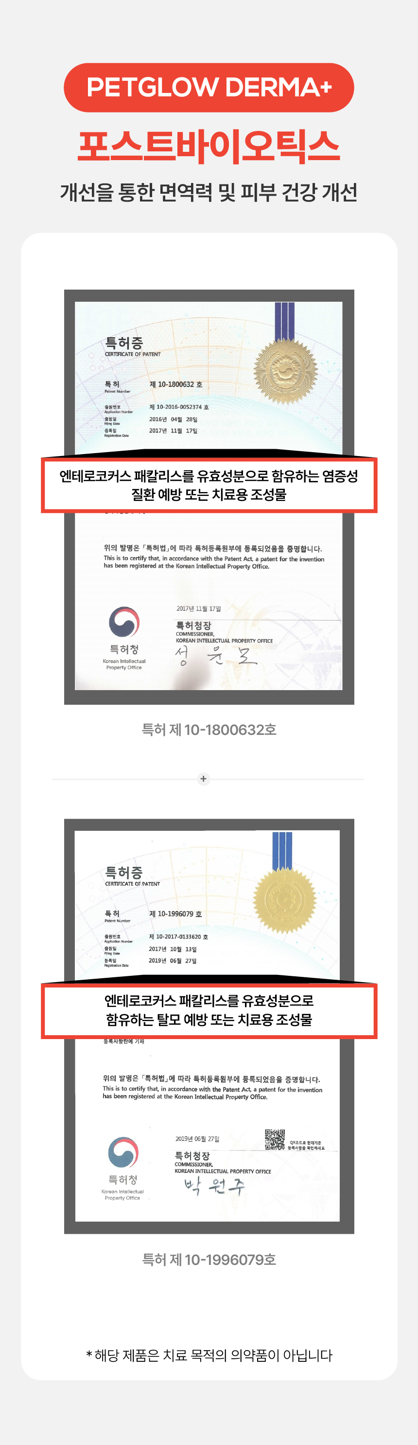 [NEW신상][무료배송] 펫글로우 독 더마플러스 피부 면역 영양제 100g 17번째