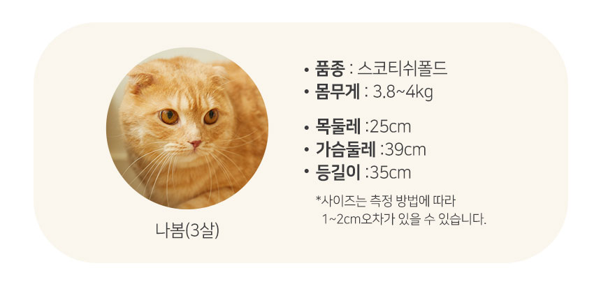 [무료배송] 펫토리아 카펫 스크래쳐 원목 하우스 3번째