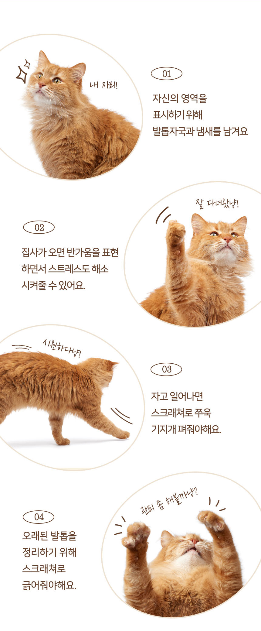 [무료배송] 펫토리아 카펫 스크래쳐 원목 하우스 5번째