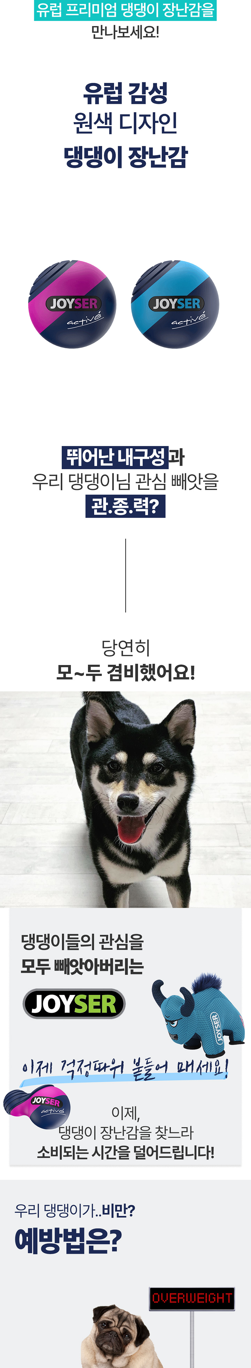 [무료배송] 조이서 독 터그링 5종 2번째