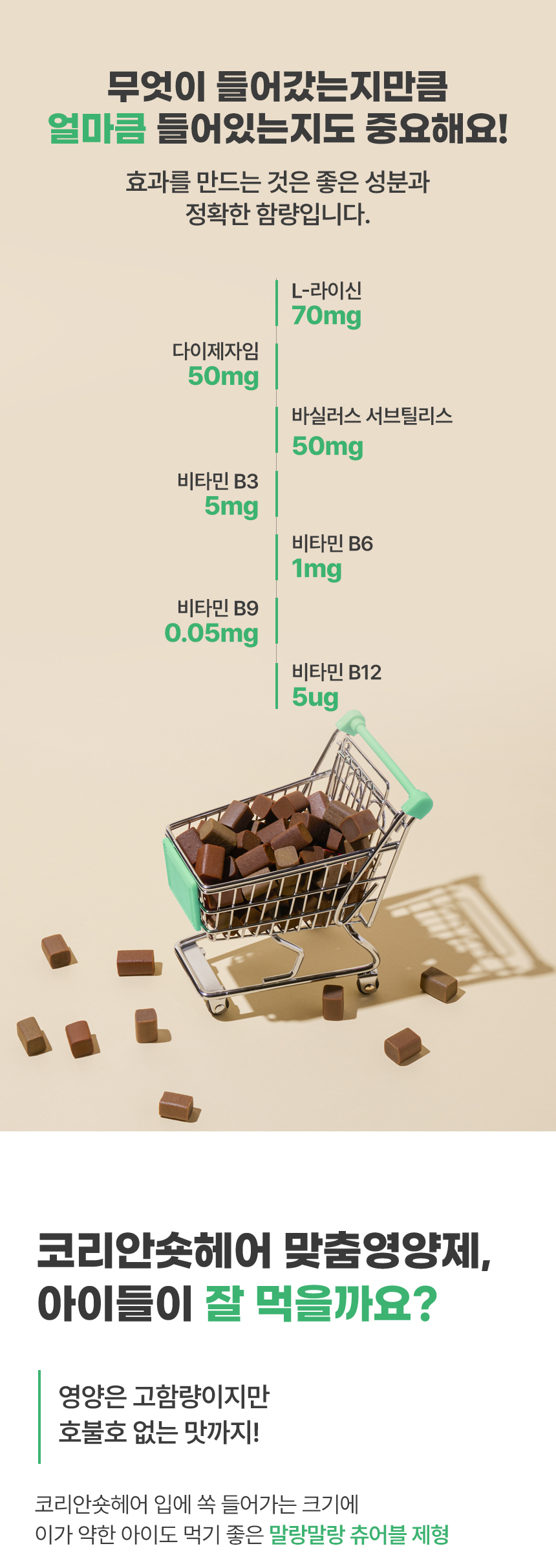 [무료배송] 이퀄 코리안숏헤어 맞춤영양제 고양이 영양제 코숏 60g 4번째