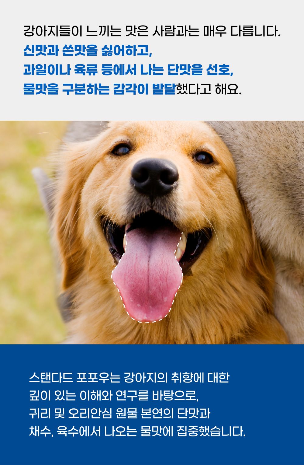 [NEW신상]스탠다드포포우 독 종합영양제 10g*10개입 12번째