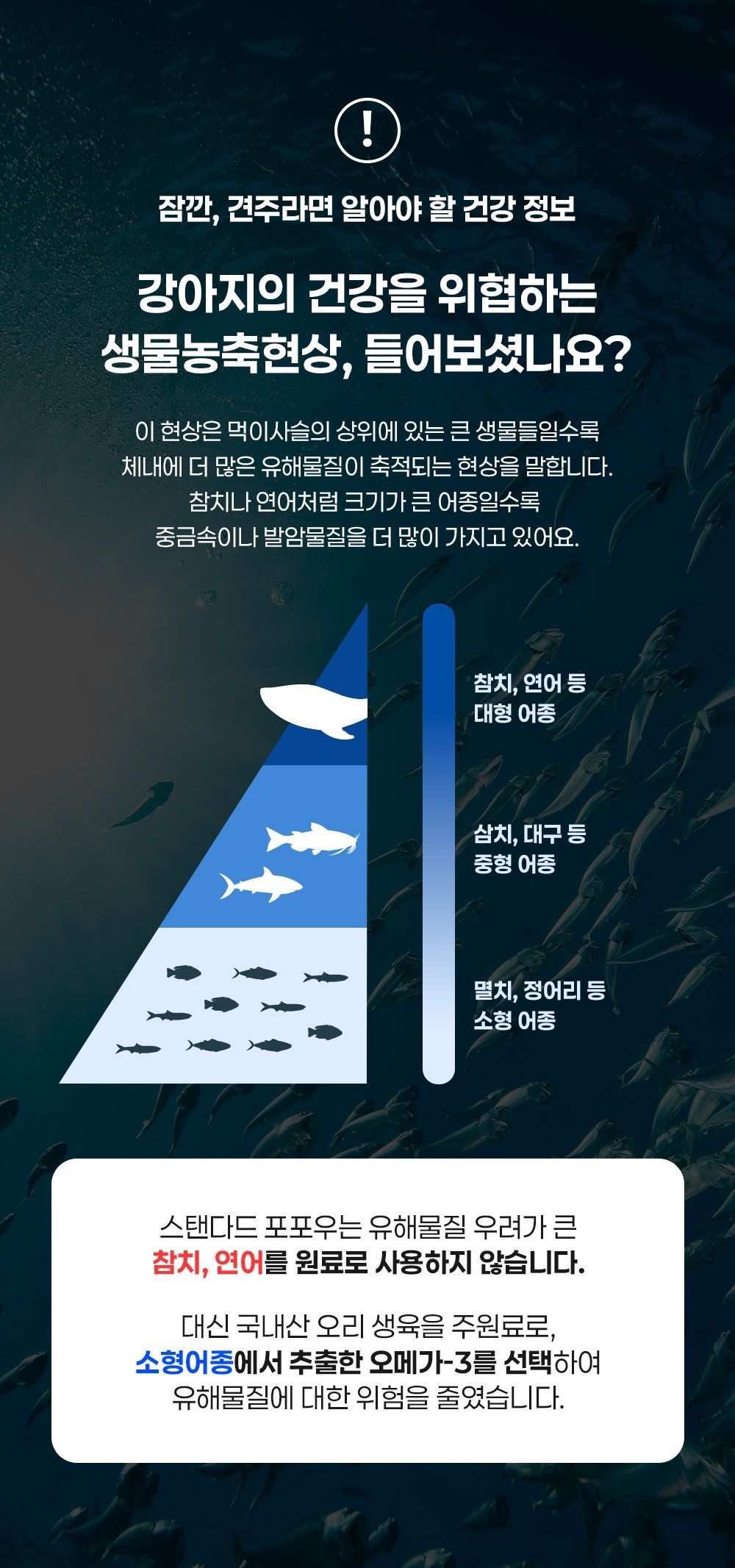 [NEW신상]스탠다드포포우 독 종합영양제 10g*10개입 17번째