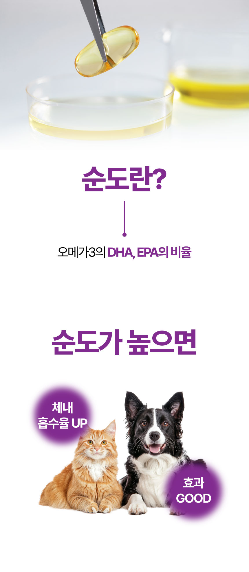 [NEW신상][무료배송] 메이드인랩 보장순도 85% 알가트리움 rTG 오메가3 40캡슐 4박스+10캡슐 1박스 12번째