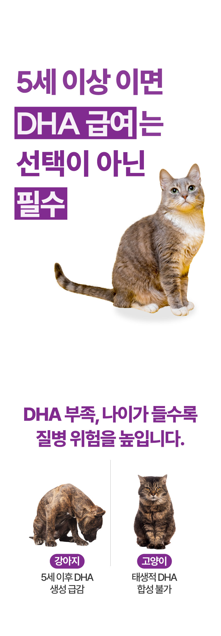 [NEW신상][무료배송] 메이드인랩 보장순도 85% 알가트리움 rTG 오메가3 40캡슐 4박스+10캡슐 1박스 6번째