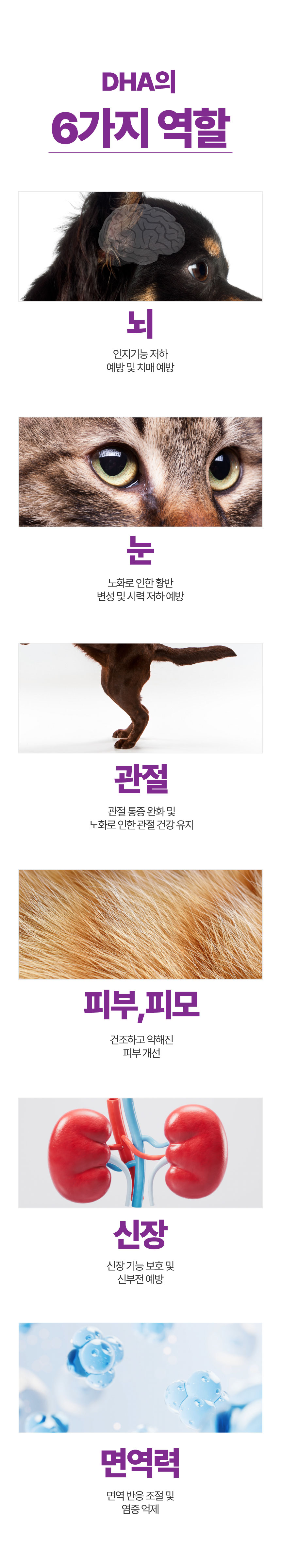 [NEW신상][무료배송] 메이드인랩 보장순도 85% 알가트리움 rTG 오메가3 40캡슐 4박스+10캡슐 1박스 15번째