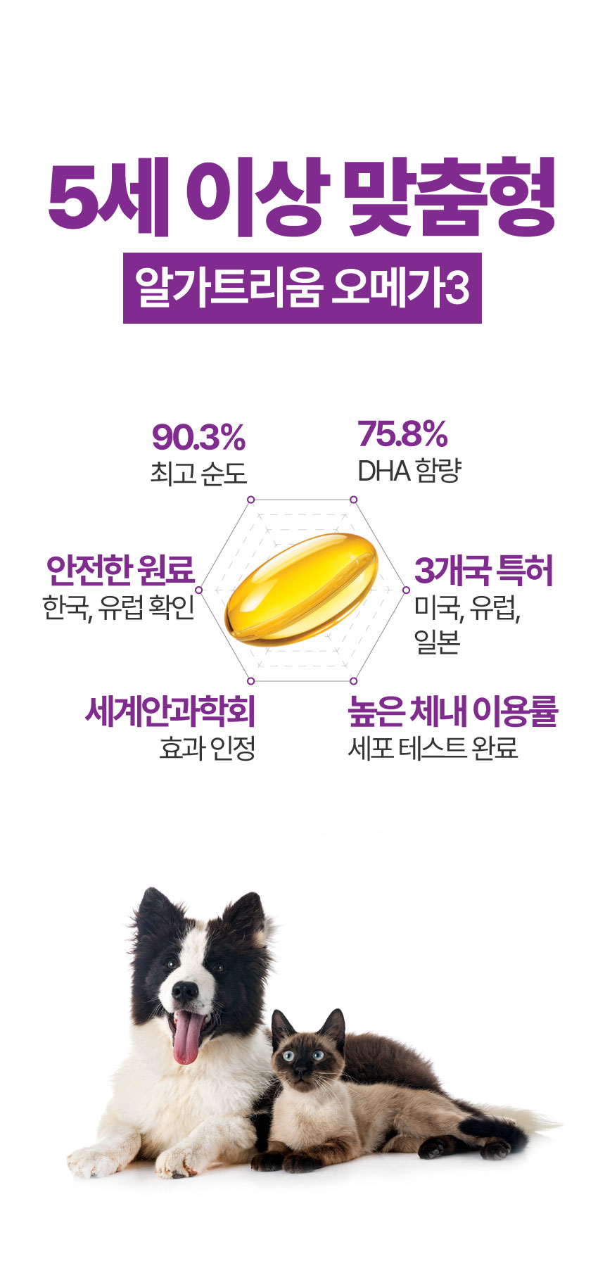 [NEW신상][무료배송] 메이드인랩 보장순도 85% 알가트리움 rTG 오메가3 40캡슐 4박스+10캡슐 1박스 3번째