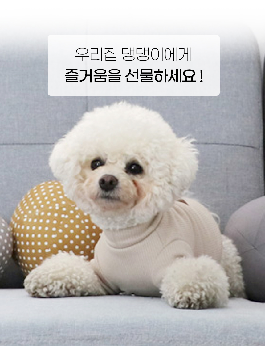 [NEW신상][무료배송] [색상랜덤] [4개] 개과천선 독 와글 봉제 공 장난감 3번째