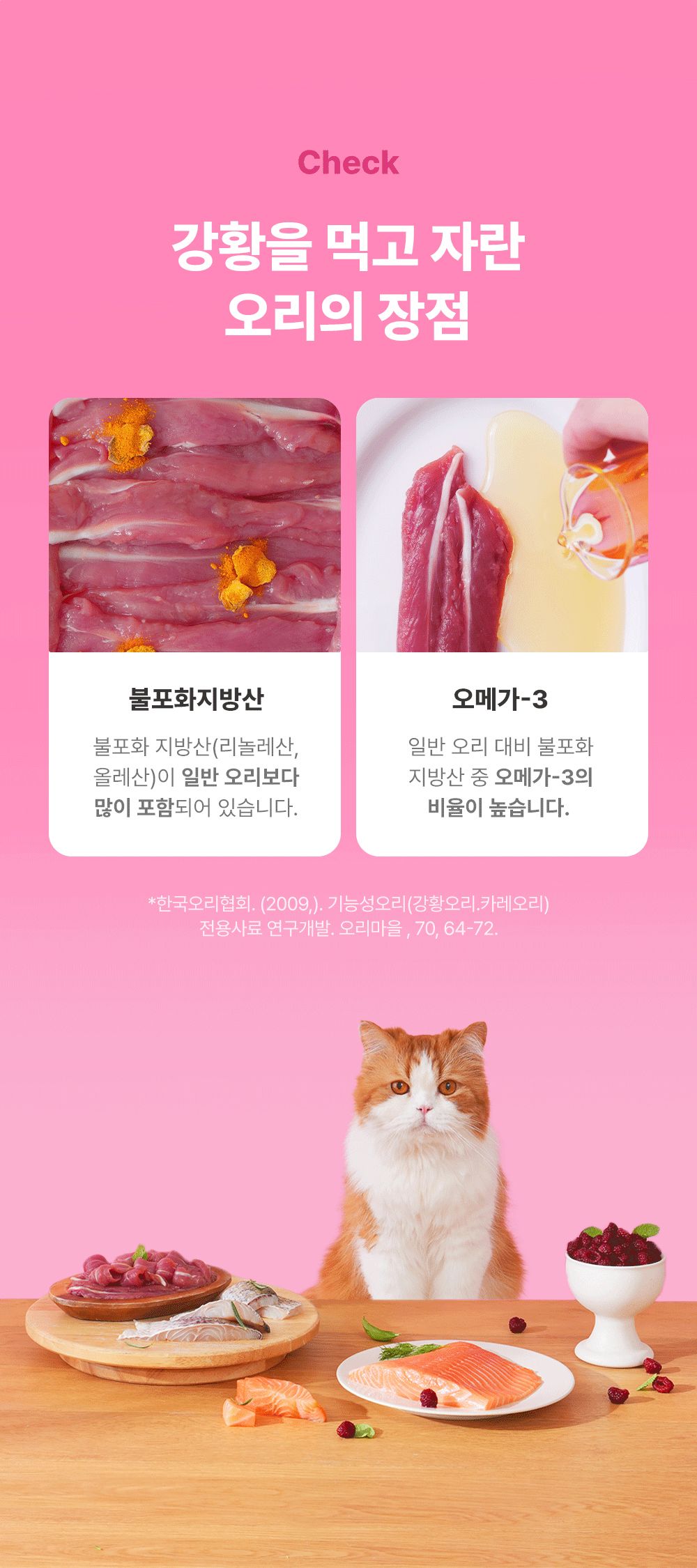 [NEW신상]조공 오키로스틱 핑크 14g*4p 7번째