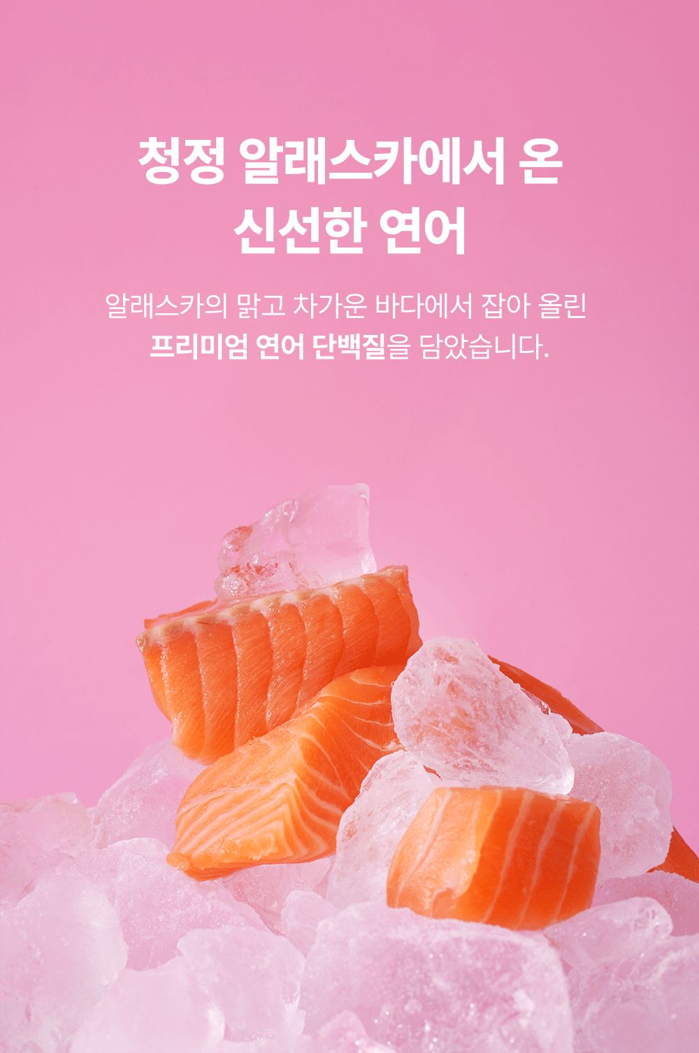 [NEW신상]조공 오키로스틱 핑크 14g*4p 9번째
