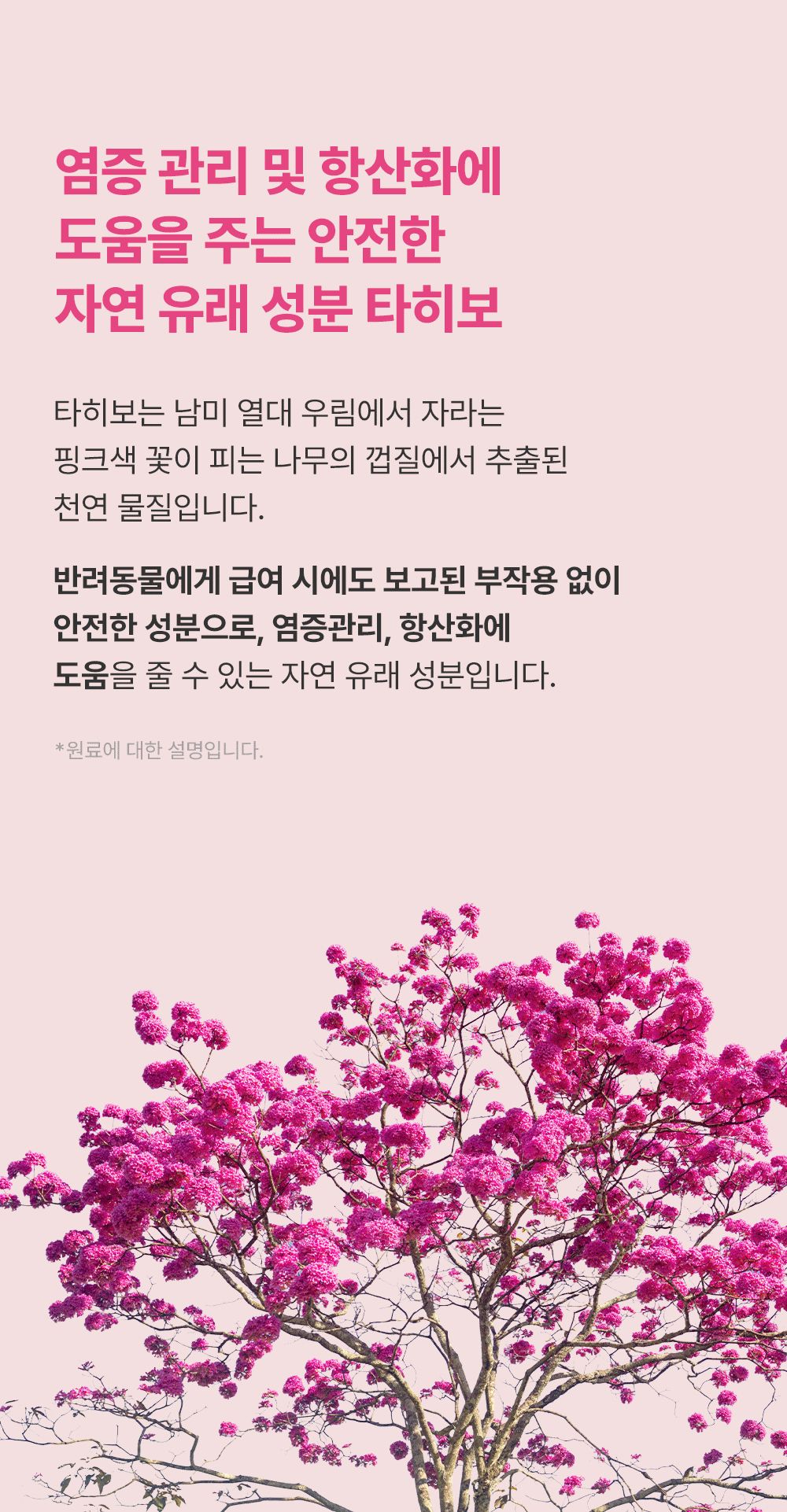 [NEW신상]조공 오키로스틱 핑크 14g*4p 11번째