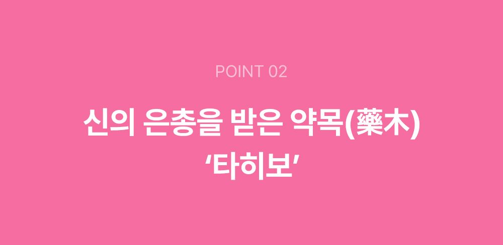 [NEW신상]조공 오키로스틱 핑크 14g*4p 10번째