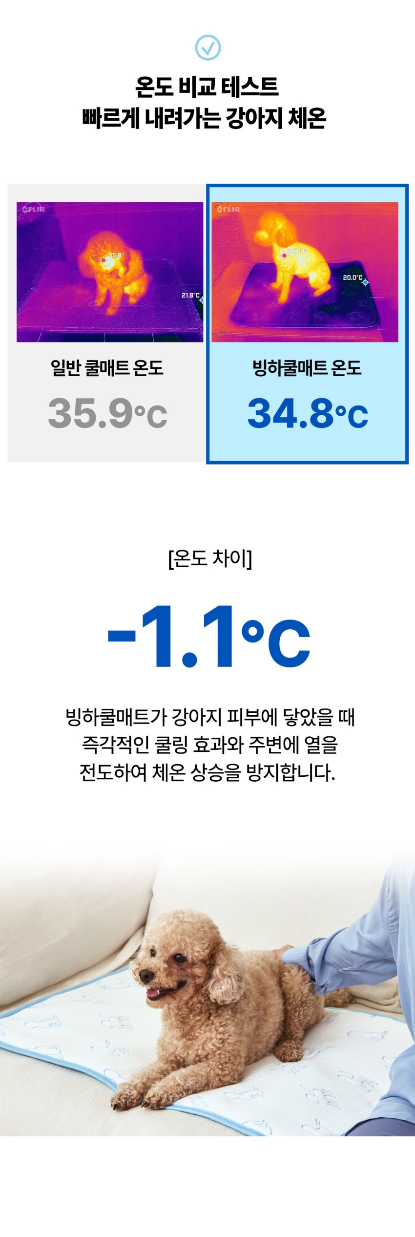 [무료배송] 오래오래프로젝트 듀라론 빙하 쿨링 펫매트 M 4번째