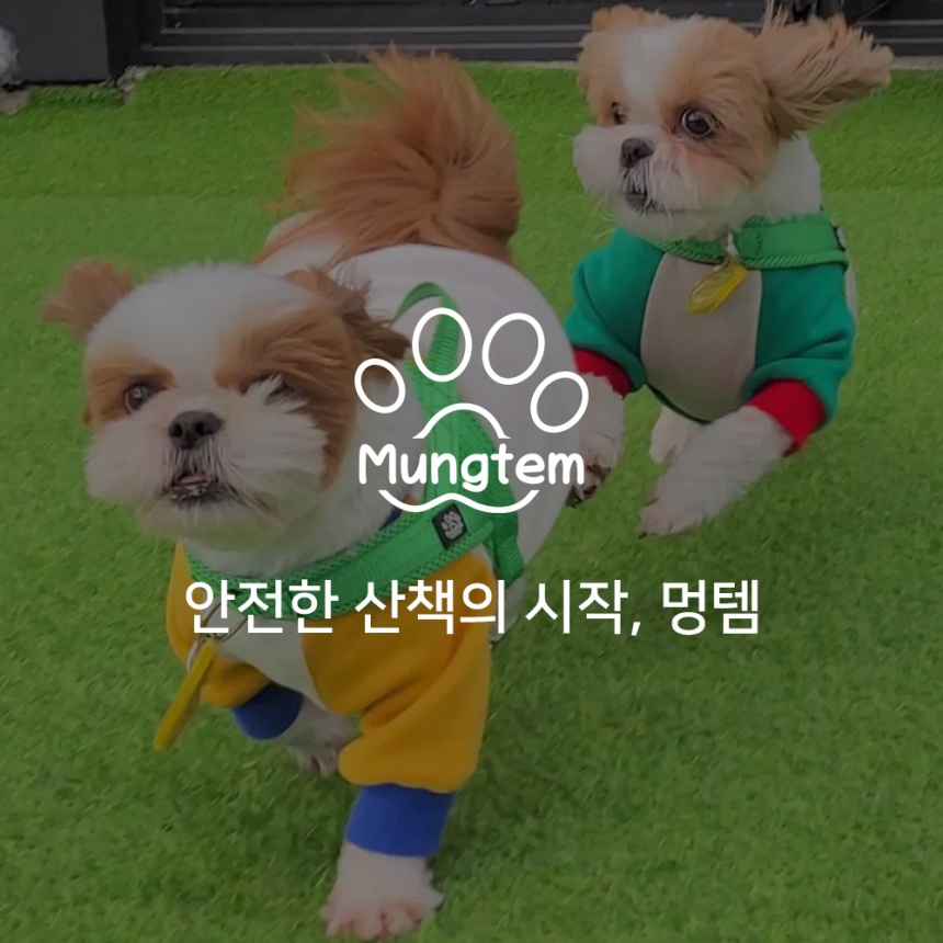 [무료배송] 멍템 탈출방지 하네스 10종 10번째