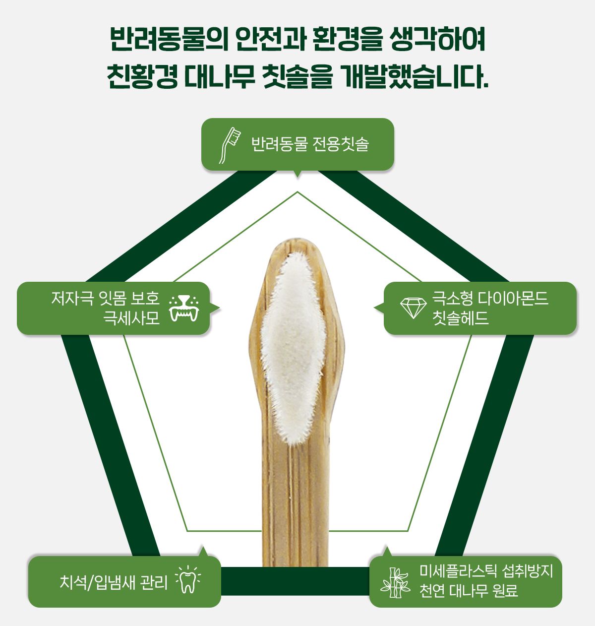 닥터페트라 덴티치카 대나무 칫솔 21번째