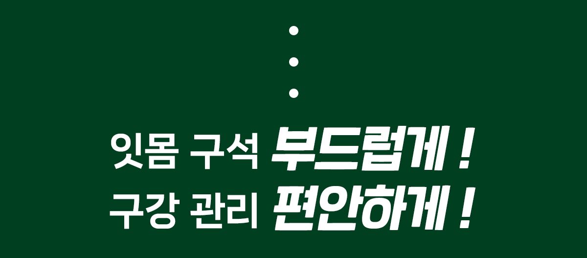 닥터페트라 덴티치카 대나무 칫솔 3번째