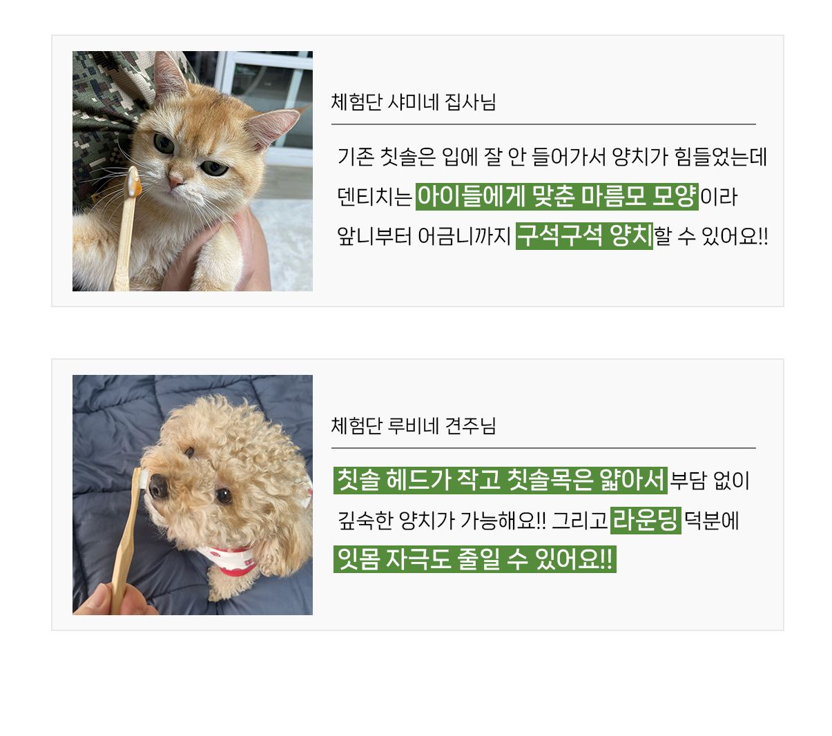 닥터페트라 덴티치카 대나무 칫솔 10번째
