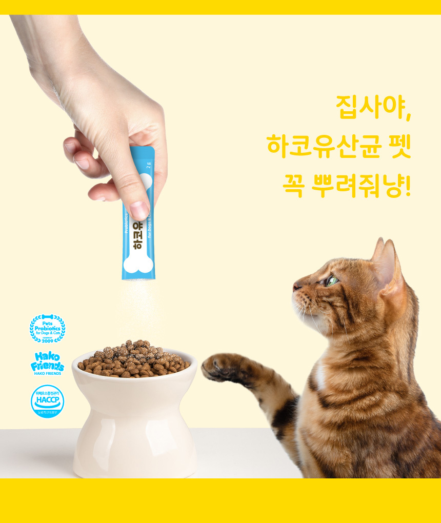 [NEW신상][무료배송] [1+1] 하코 유산균 펫 30포 8번째
