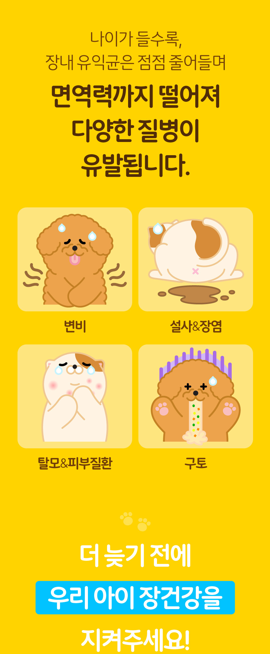 [NEW신상][무료배송] [1+1] 하코 유산균 펫 30포 2번째