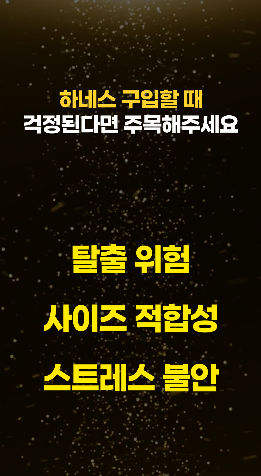 [무료배송] 알뜰펫 꿀벌 하네스 S-XL 1번째
