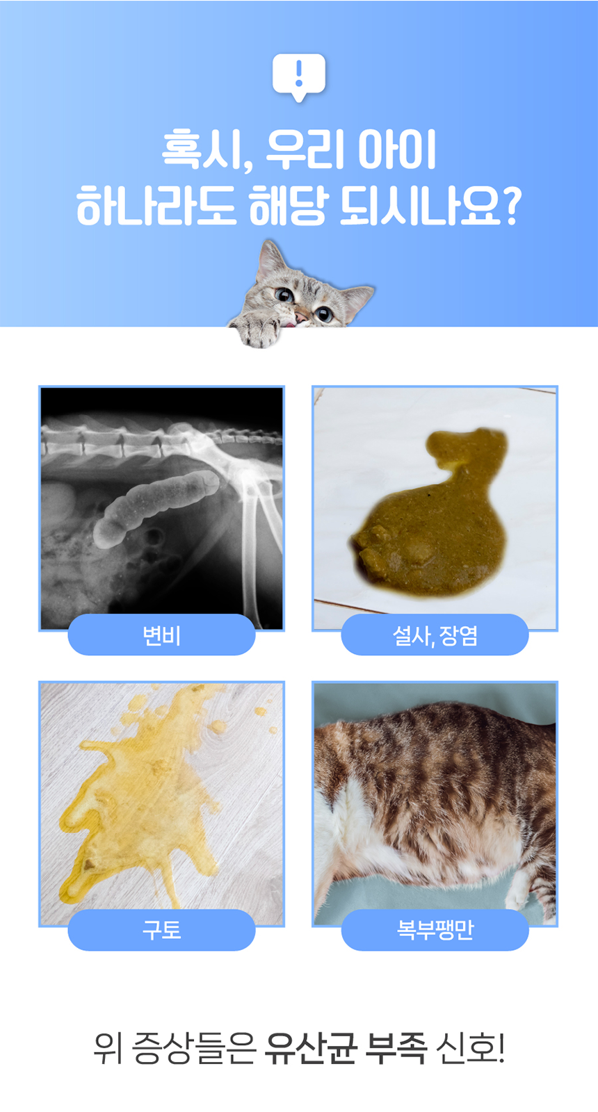 [무료배송] 프렌냥 락토냥 밸런스 닭고기맛 2g*30p 2번째