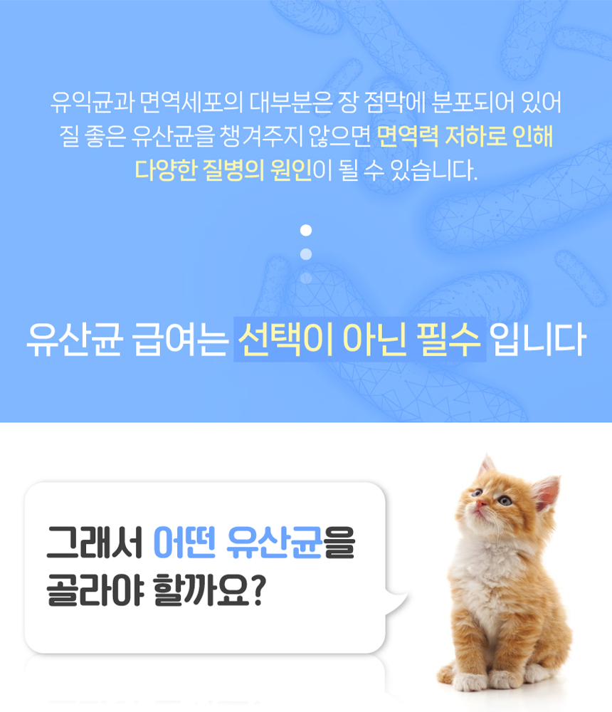 [무료배송] 프렌냥 락토냥 밸런스 닭고기맛 2g*30p 3번째