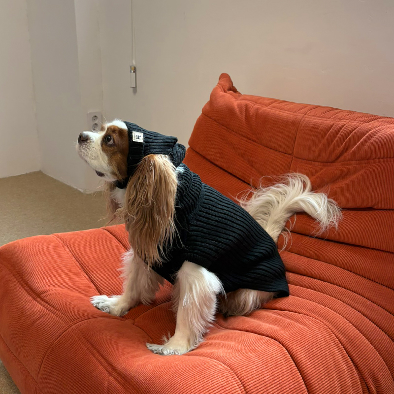 [NEW신상][무료배송] 해피댕댕 골지니트 비니&조끼 4종 (블랙,그레이,베이지,아이보리) S-3XL 15번째