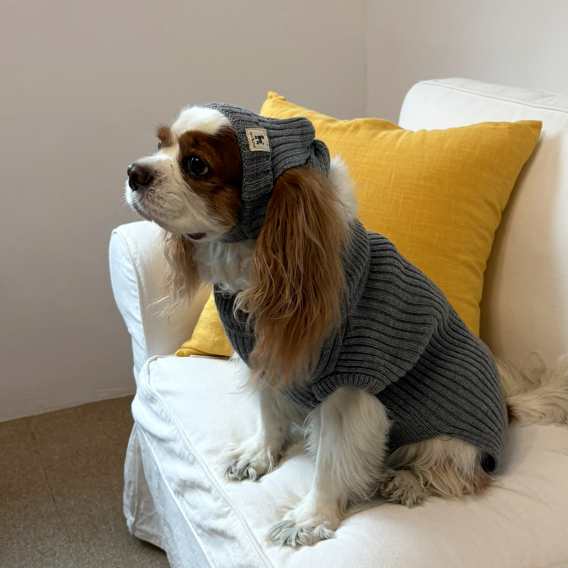 [NEW신상][무료배송] 해피댕댕 골지니트 비니&조끼 4종 (블랙,그레이,베이지,아이보리) S-3XL 24번째