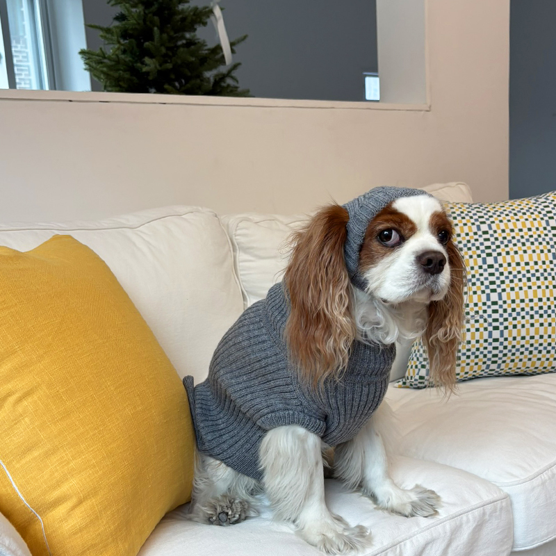 [NEW신상][무료배송] 해피댕댕 골지니트 비니&조끼 4종 (블랙,그레이,베이지,아이보리) S-3XL 25번째