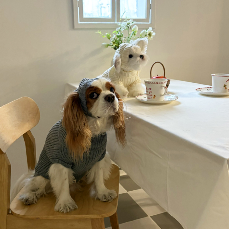 [NEW신상][무료배송] 해피댕댕 골지니트 비니&조끼 4종 (블랙,그레이,베이지,아이보리) S-3XL 21번째