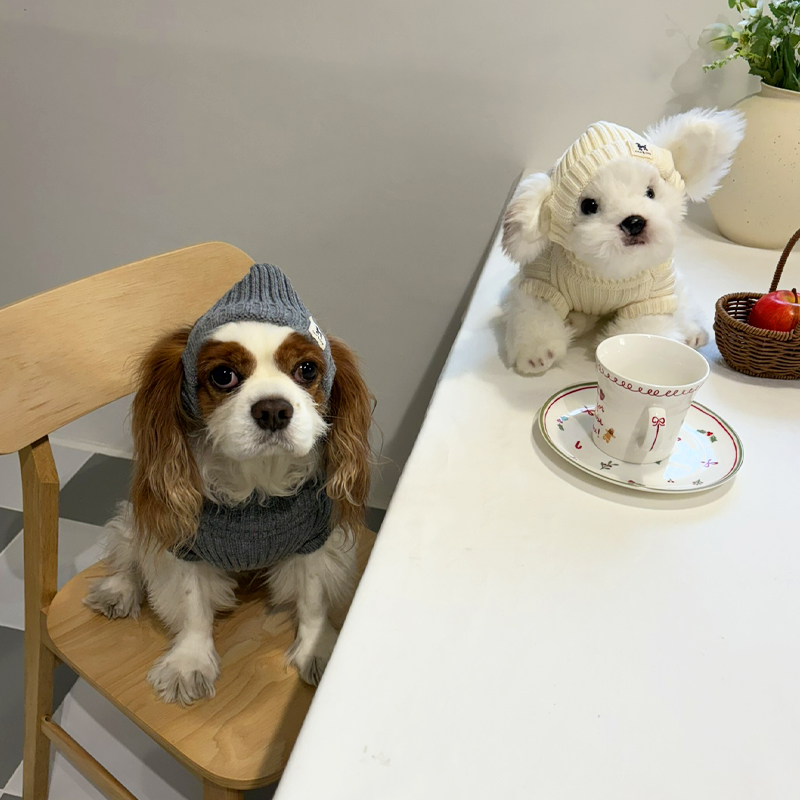 [NEW신상][무료배송] 해피댕댕 골지니트 비니&조끼 4종 (블랙,그레이,베이지,아이보리) S-3XL 20번째