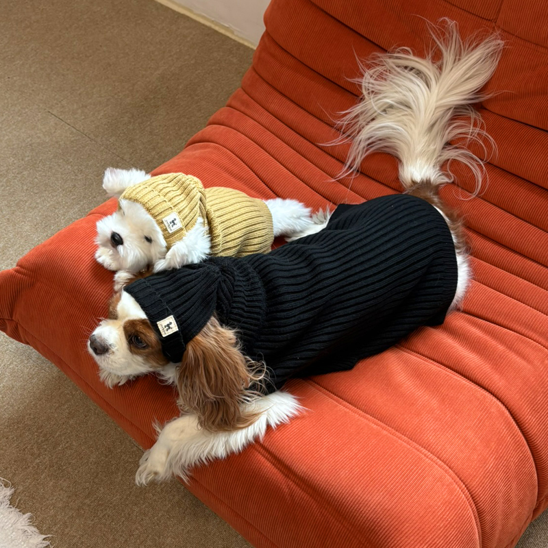 [NEW신상][무료배송] 해피댕댕 골지니트 비니&조끼 4종 (블랙,그레이,베이지,아이보리) S-3XL 12번째